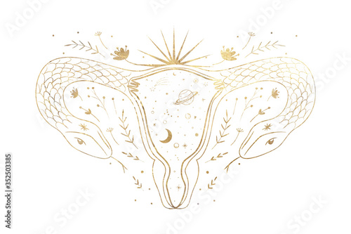 chic golden luxurious retro vintage engraving style. image of the sun and moon phases. culture of accultism. Vector graphics