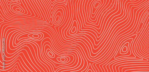 Salmon fillet texture, fish pattern. Vector background with stripes salmon