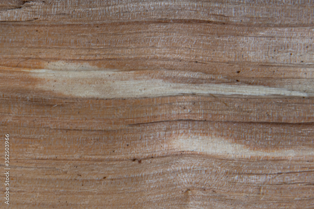 closeup texture wooden boards. The cut wood background closeup texture wooden boards. The cut wood background