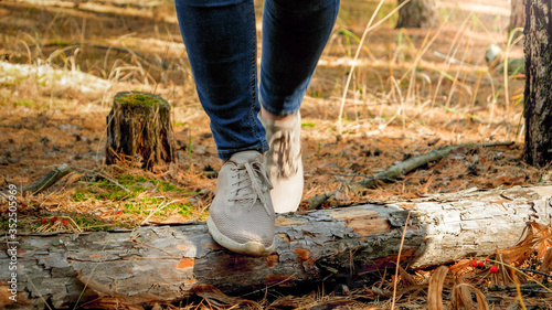 Female hikers feet walking over the log lying on ground at forest