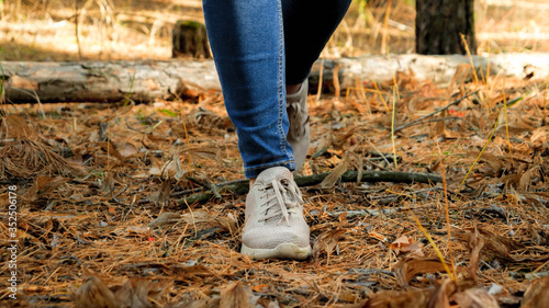 Closeup image of female feet in sneakers walking in the forest