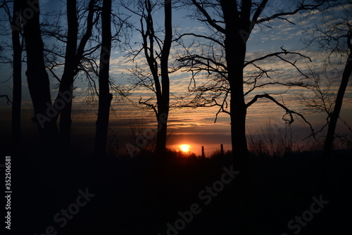 setting sun among autumn oaks