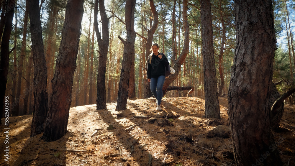 Beautiful female tourist walking down the hill in pine forest at sunset