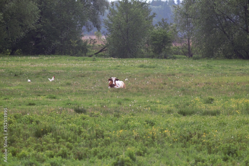 Obraz premium Seym River, Ukraine