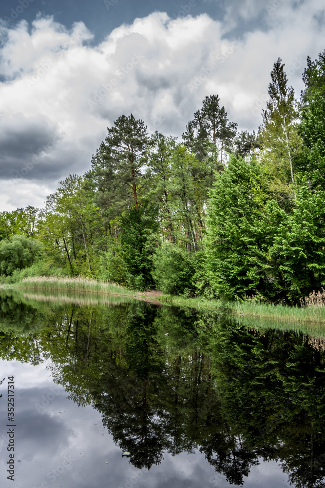 Pond in the forest on the Vydritsa stream near Kiev