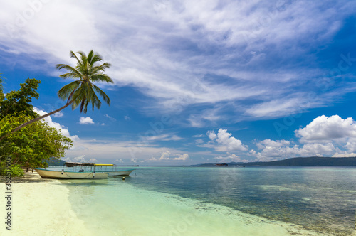 Fototapeta Naklejka Na Ścianę i Meble -  Island coast, tropical beach with coconut palm, white sand and turquoise water