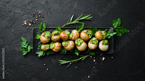 Snails baked with sauce. Baked snails with butter and spice. Top view. Free space for your text.