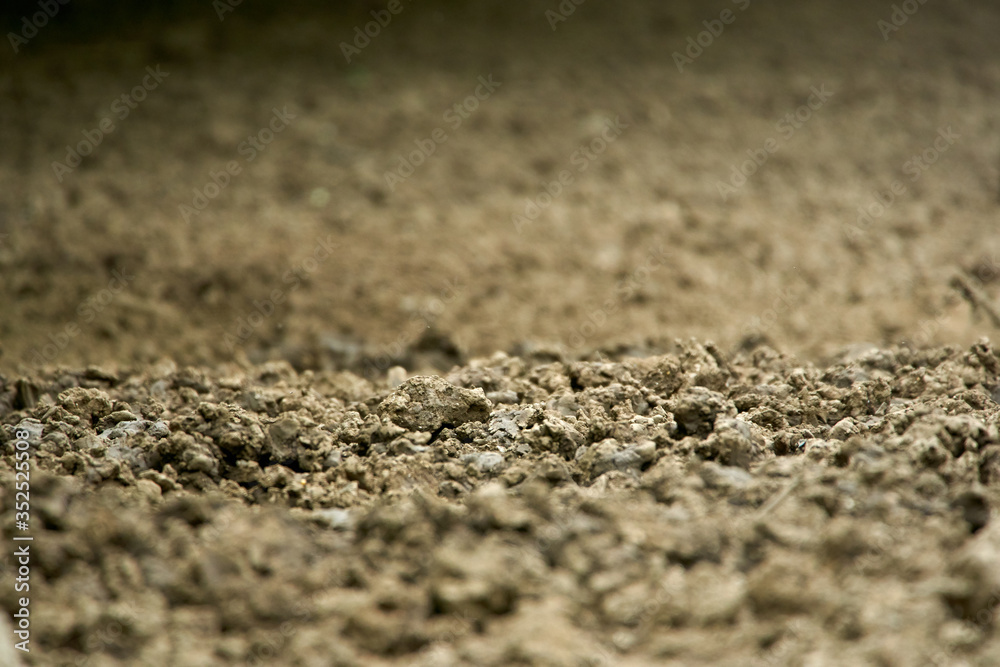 Fertile soil with selective focus Fertile soil with selective focus
