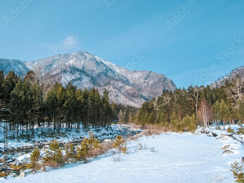 colorful view of the snow-white mountain around the forest, winter background