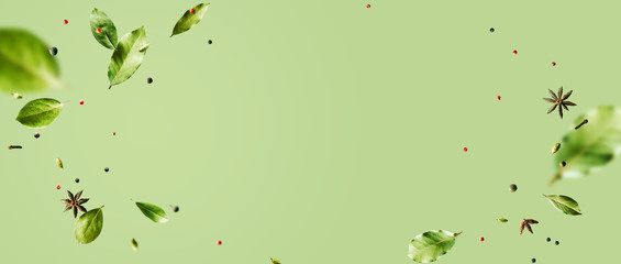 Creative mockup with flying various types of spices Bay leaf, red chili pepper, anise on green background with copy space. Long food banner with copy space.