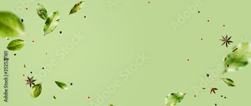 Fototapeta Naklejka Na Ścianę i Meble -  Creative mockup with flying various types of spices Bay leaf, red chili pepper, anise on green background with copy space. Long food banner with copy space.