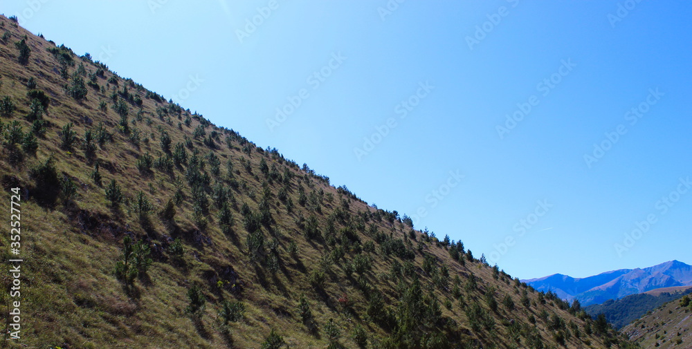 Naklejka premium The hill is forested with coniferous trees, and in the distance there are mountains. On the way to the mountain Bjelasnica, Bosnia and Herzegovina.