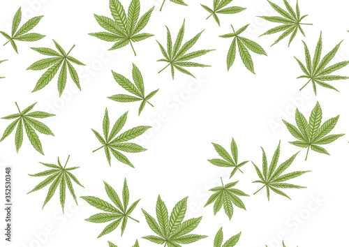 Cannabis leaves seamless pattern  background. Vector illustration in green colors Isolated on white background.