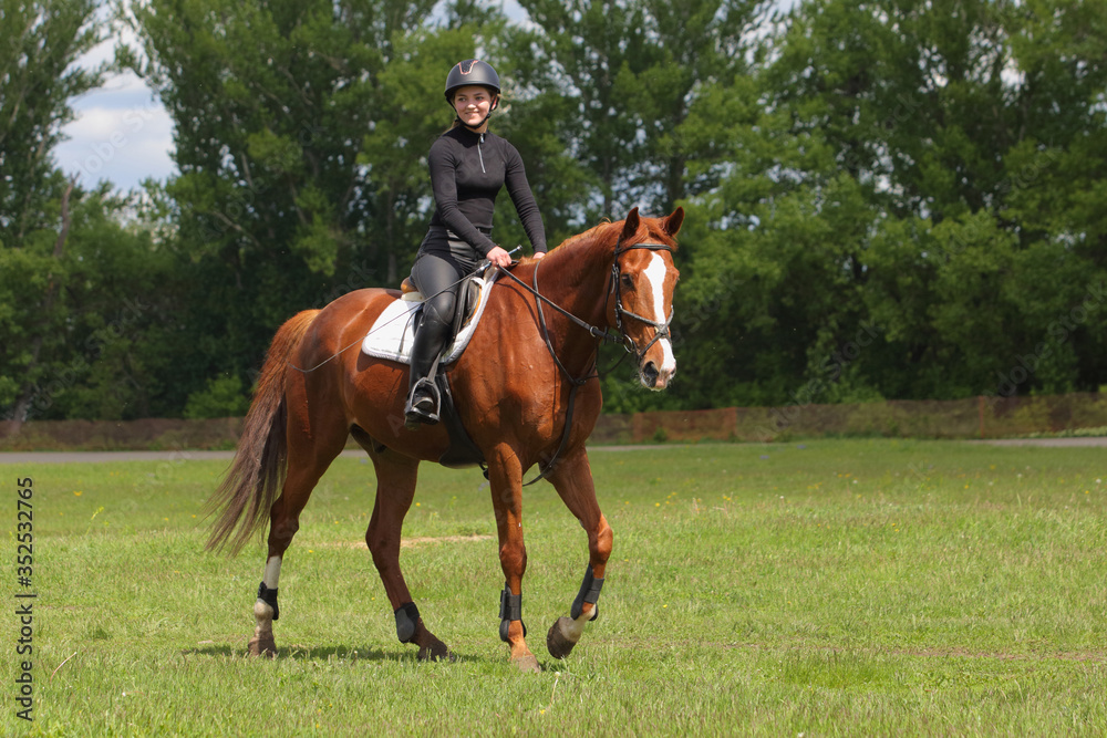 Equestrian model girl riding sportive dressage horse in summer fields