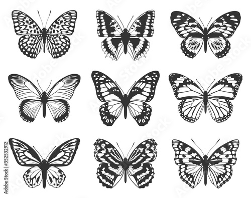Silhouette of black butterflies. Collection of butterflies.
