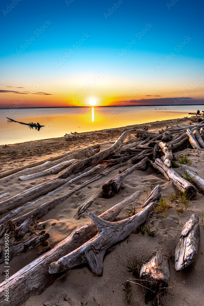 Sunset on the shore with dry logs