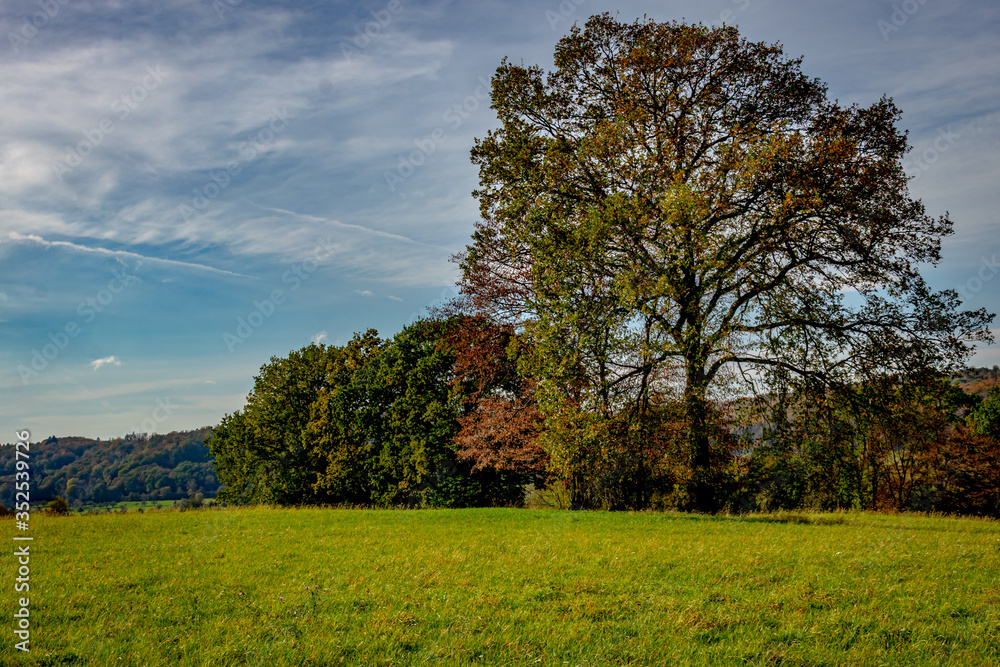 Fototapeta premium An autumn landscape