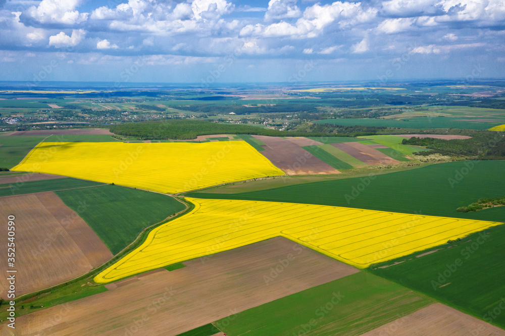 Beautiful rapeseed fields shot from the air.