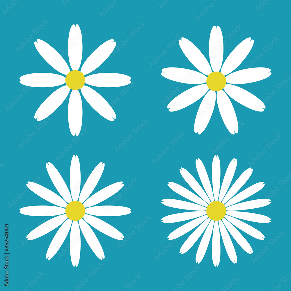 Daisy chamomile icons isolated on blue background. Vector illustration