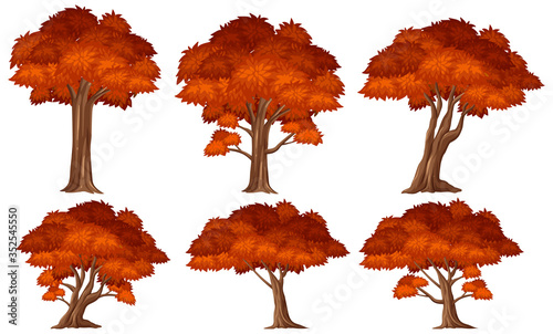 Set of tree with red leaves on white background