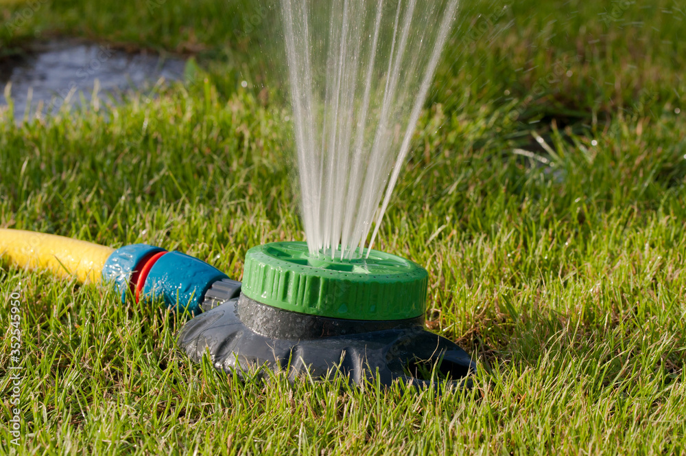 Fototapeta premium sprinkler watering grass