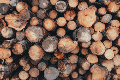 Wood and Sawmill. Large round logs harvested for construction.