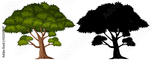Silhouette pictures of big tree on white background