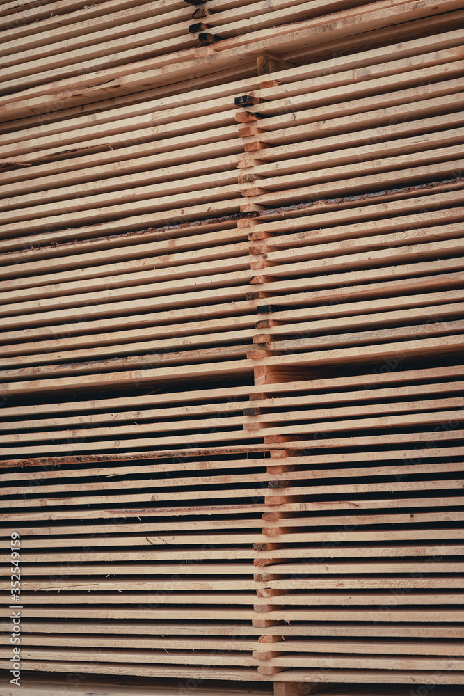 Wood and Sawmill. Large round logs harvested for construction. Wood and Sawmill. Large round logs harvested for construction.