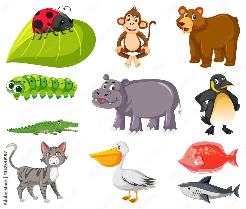 Obraz premium Large set of different types of animals on white background