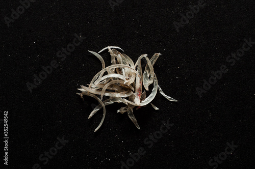 A small pile of cut human nails on a black background