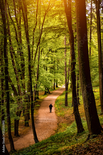 Forest walk road Pedestrian path leading to beautiful spring landscape, Banja Vrucica, Teslich , Teslic