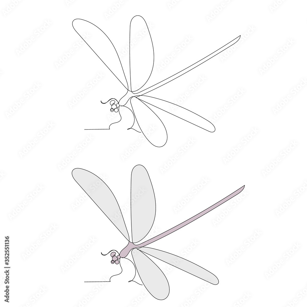 isolated, dragonfly color sketch in one continuous line isolated, dragonfly color sketch in one continuous line