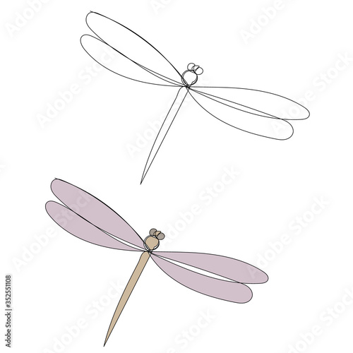 isolated, dragonfly color sketch in one continuous line