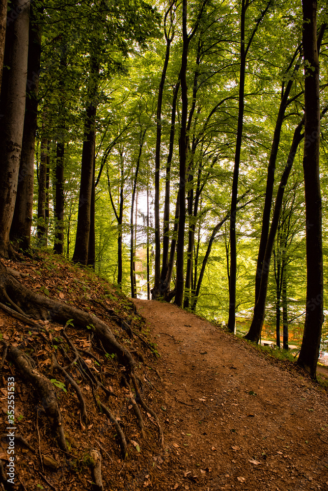 Forest walk road Pedestrian path leading to beautiful spring landscape, Banja Vrucica, Teslich , Teslic Forest walk road Pedestrian path leading to beautiful spring landscape, Banja Vrucica, Teslich , Teslic