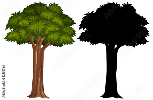 Silhouette pictures of big tree on white background