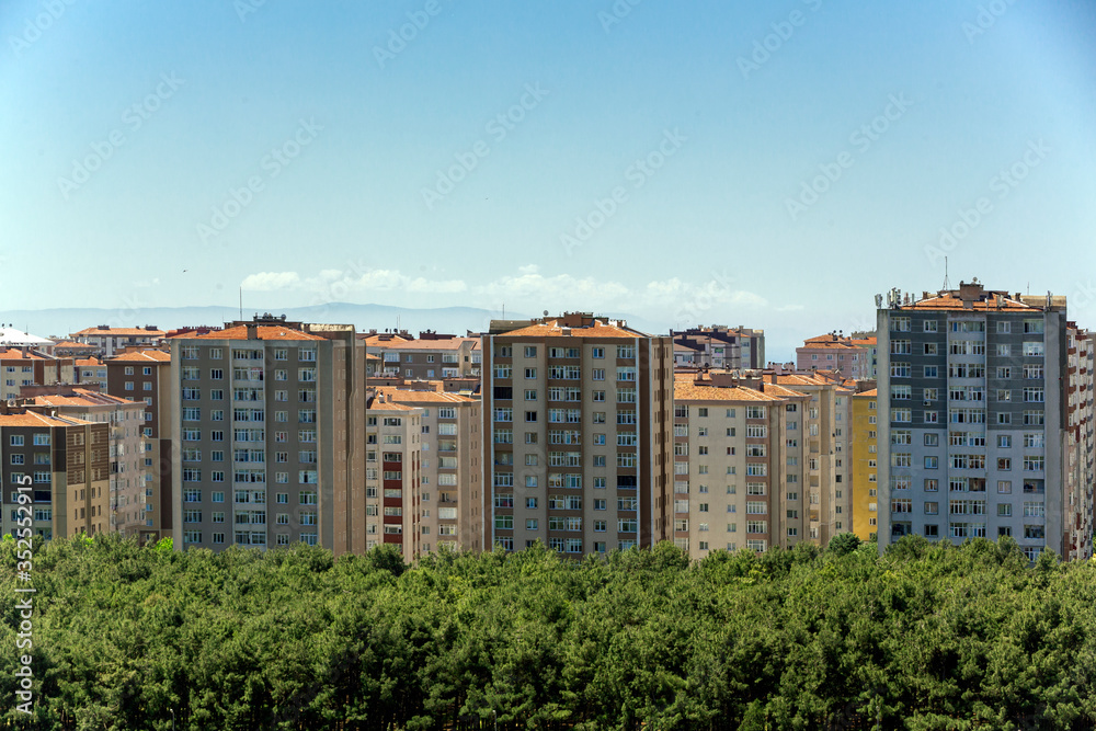Forest and buildings on blue background