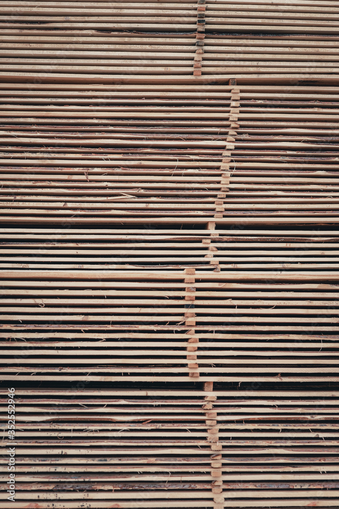 Wood and Sawmill. Large round logs harvested for construction. Wood and Sawmill. Large round logs harvested for construction.