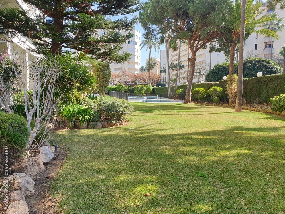in garden in garden