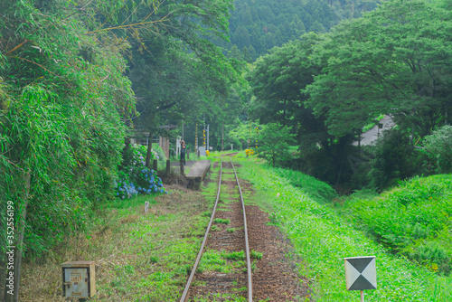 【千葉県 小湊鉄道】静かなローカル線の風景
