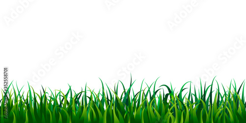 Seamless grass border isolated on white or background. illustration of fresh realistic green lawn. endless horizontal grass frame. bright meadow panorama. spring, summertime design.
