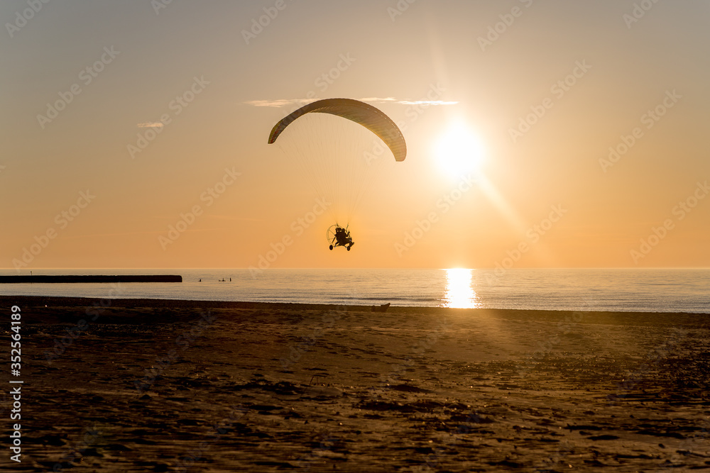 silhouette of a kite on the beach