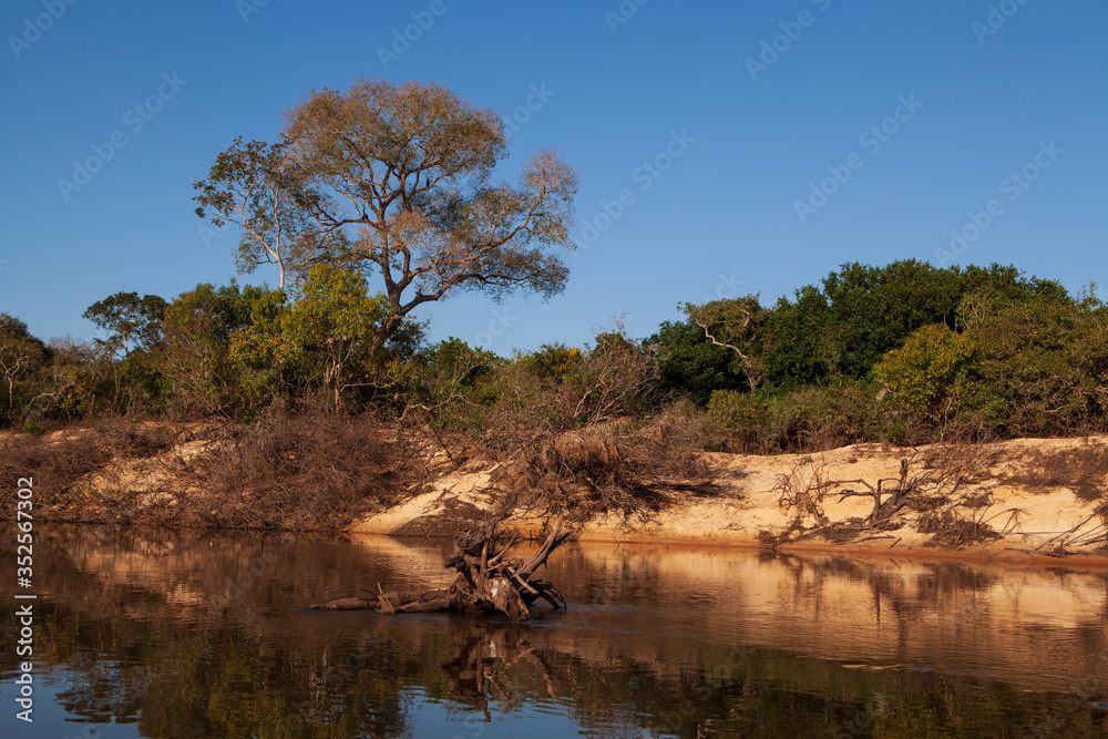 Barranco nas margens do rio Negro; dique aluvial