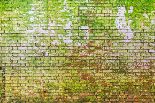 Old ruined bricks wall background with fouling and moss. ruinous wall wreck texture for tapestry and wallpaper. Copy space on bricks wall.