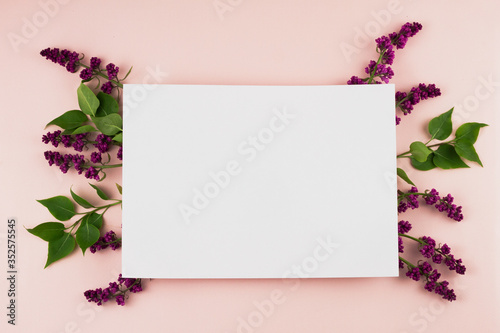flowering branches of lilac on a pastel background with copy space. 