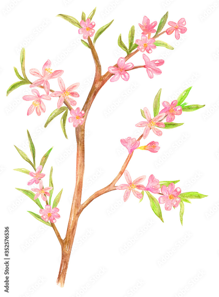 stylized spring tree with pink flowers and leaves. blooming wild almond for your design. watercolor painting