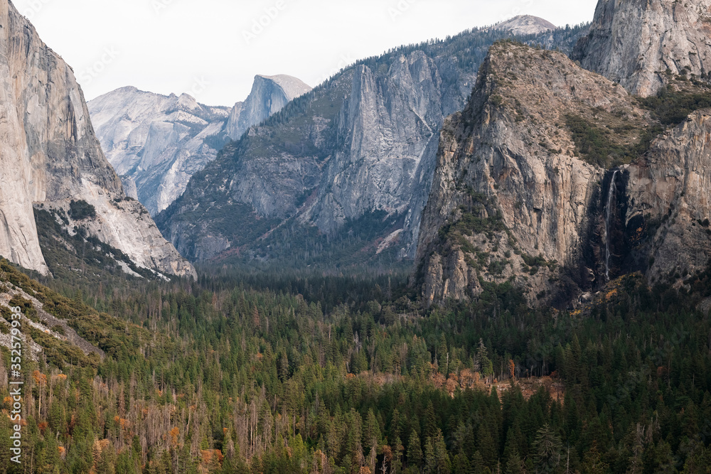 Yosemite National Park