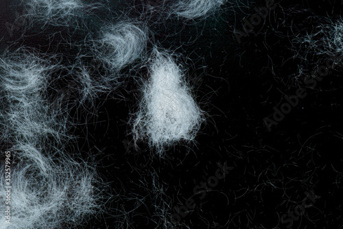 Pile of old gray hair on black background, texture