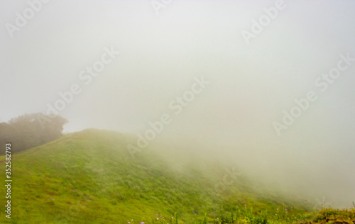 mountain with green grass and thick clouds
