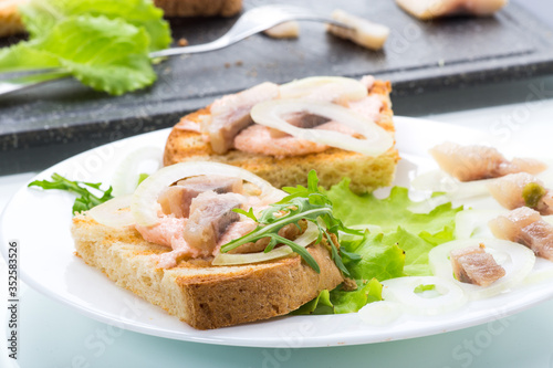 sandwich with salad, herring and herbs with onions in a plate