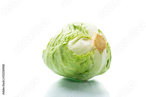 early green cabbage, whole swing on a white background © Peredniankina